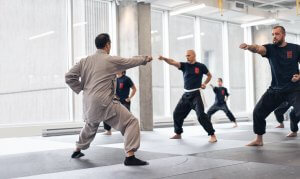 kung fu quebec instinct martial